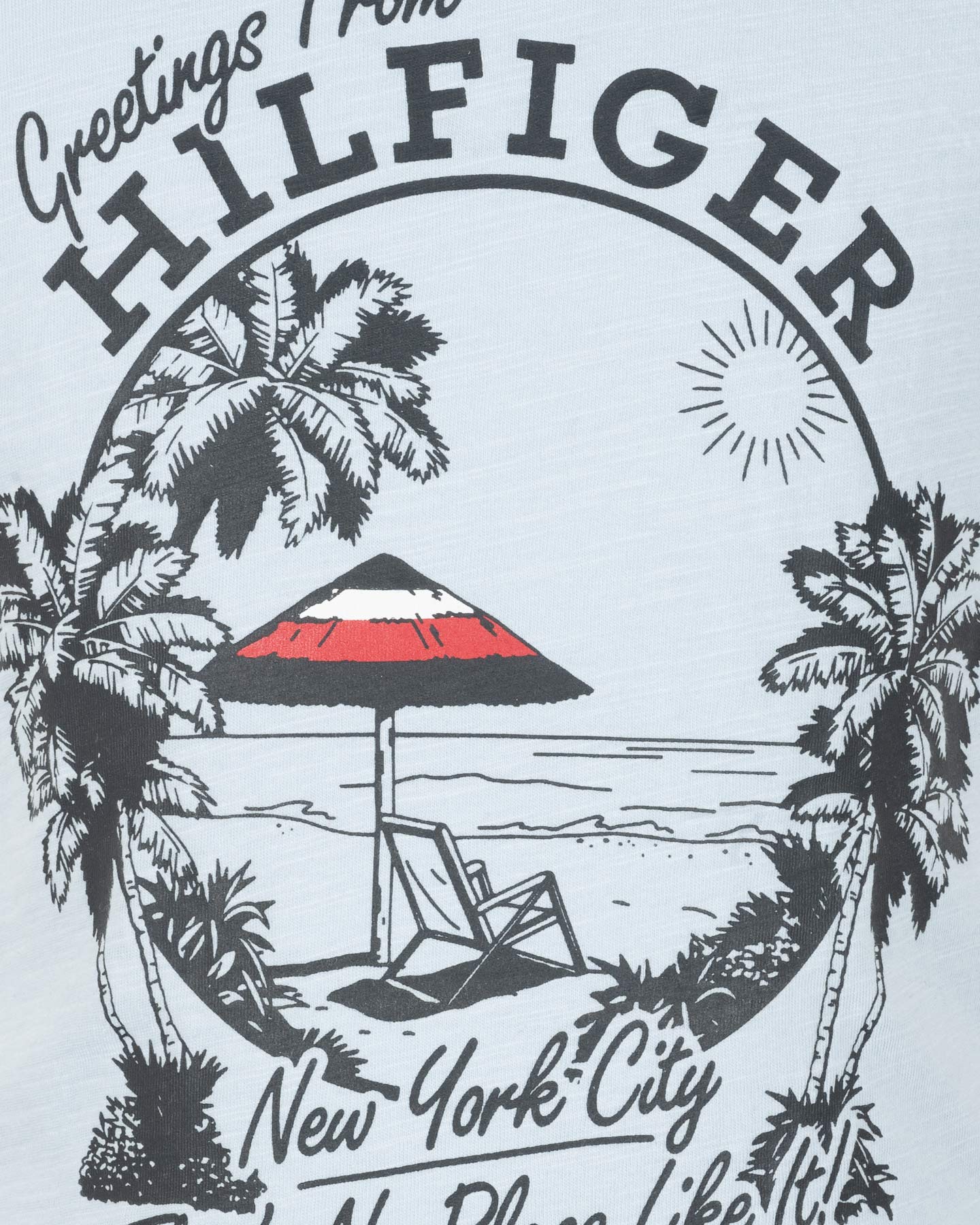 T-shirt TOMMY HILFIGER GREETINGS FROM JR - Blu - 2 | Cisalfa Sport